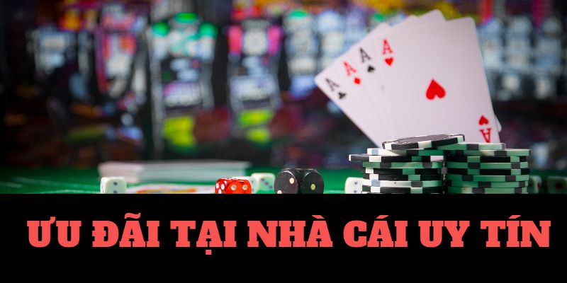 12fun-Trải nghiệm cược với trang xanh chín hàng đầu!